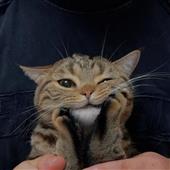 Si