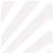 C-