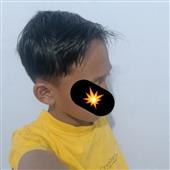 Li