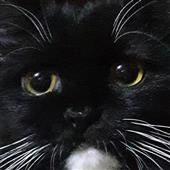 Tr