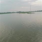 Ng