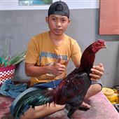 Câ