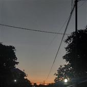 Cờ