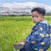 Hầ