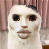 Lễ