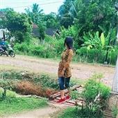 Sư