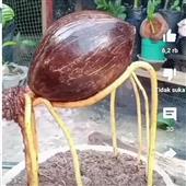 Tỷ