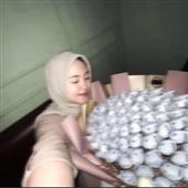 IP