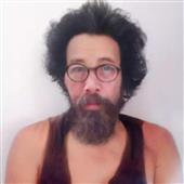 Gà