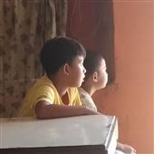 Bl
