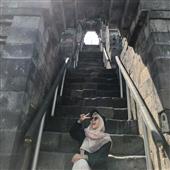 Đu