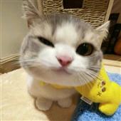 Bả