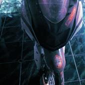 Gi