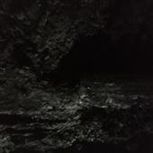 Tr