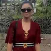 Gi
