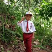 Tỷ