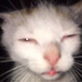 Es