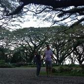 tí