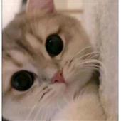 So