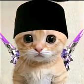 xứ