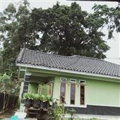 Lị