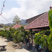 Ca