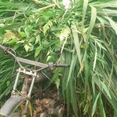 Lễ