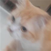 Ba