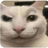 cư