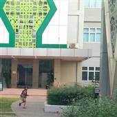 Gấ