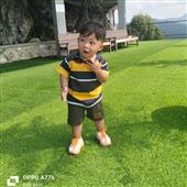 Bả