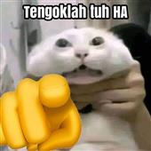 Cư