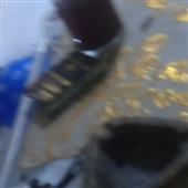 Gi