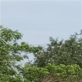 BA