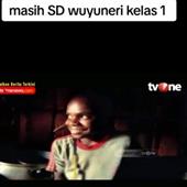 Vi