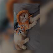 lấ