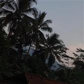 Qu