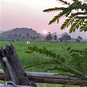 Nữ