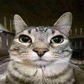 St