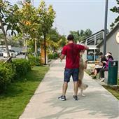 Kế