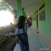 Va
