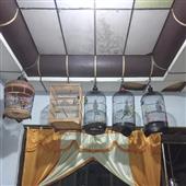 Lờ