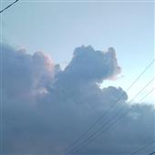 Su