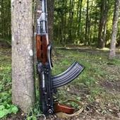 Fi