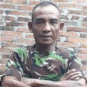 Gi