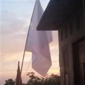 Nữ
