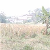 Kè