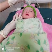Lị