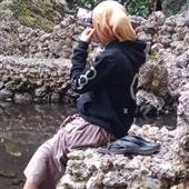 Cu