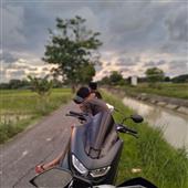 Si